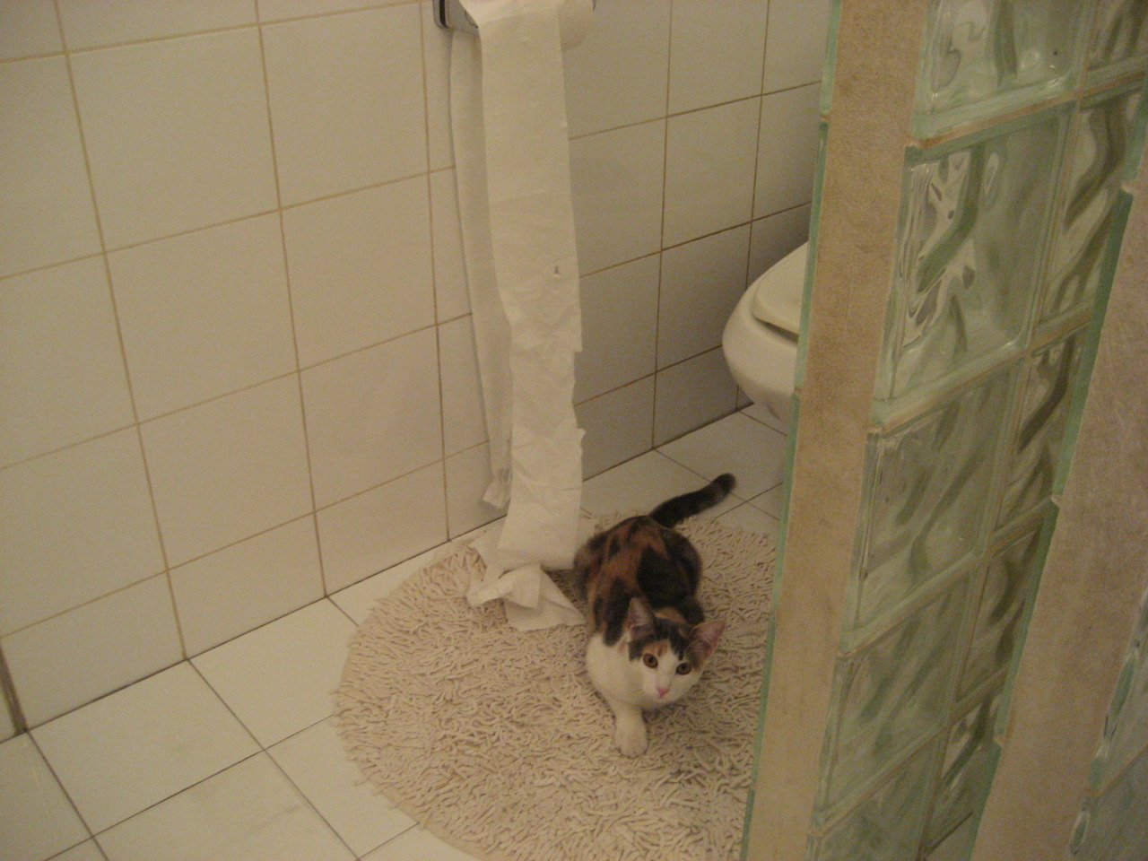 中国足球国家队技术战术演练成效明显,中国足球技术档案