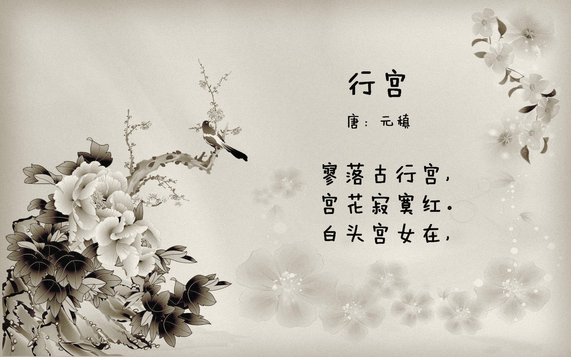 利比亚女篮在非洲赛事中表现抢眼，逐步走向国际舞台，利比亚篮球运动员