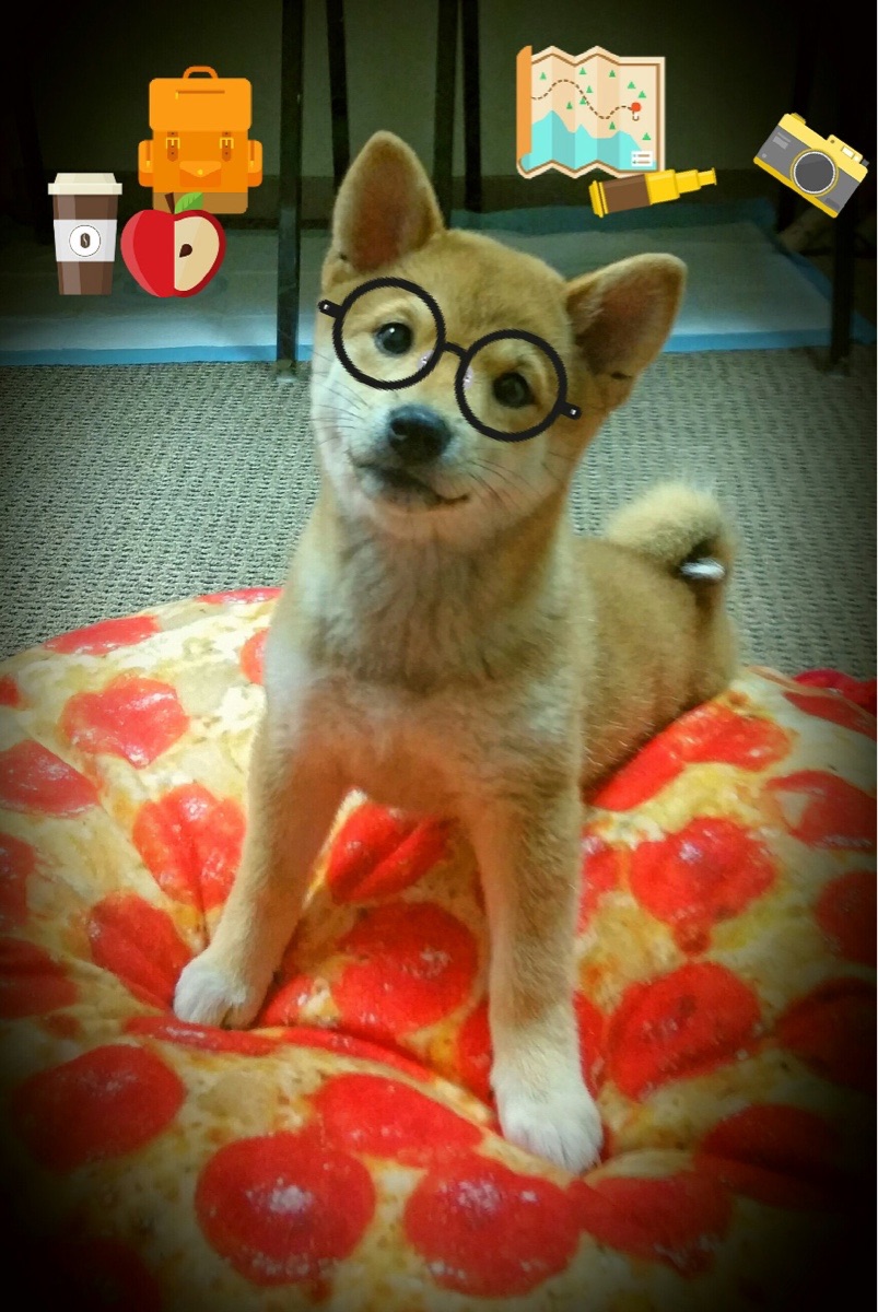 蝶泳赛场韩国选手爆发力强,蝶泳金牌视频